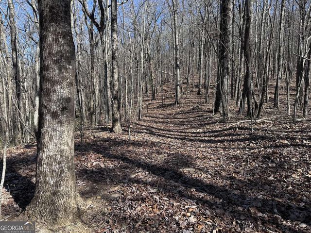 57 St Andrews Way, Ellijay, GA 30536
