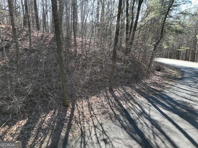 57 St Andrews Way, Ellijay, GA 30536