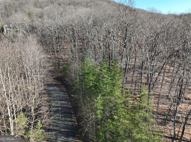 57 St Andrews Way, Ellijay, GA 30536