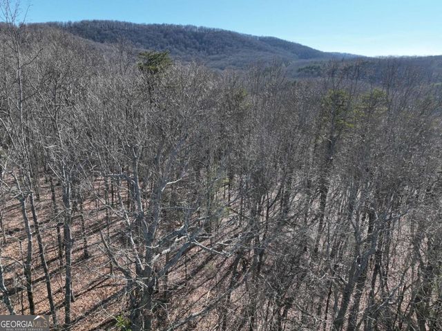 57 St Andrews Way, Ellijay, GA 30536