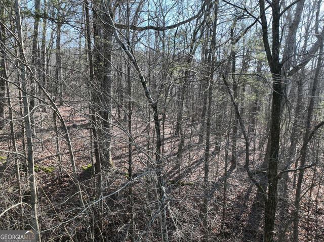 57 St Andrews Way, Ellijay, GA 30536