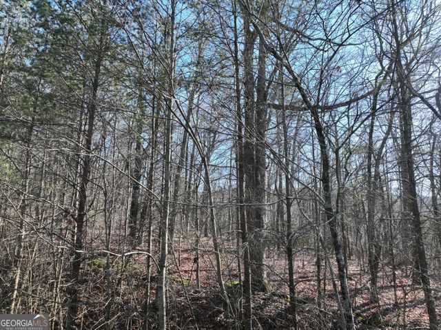 57 St Andrews Way, Ellijay, GA 30536