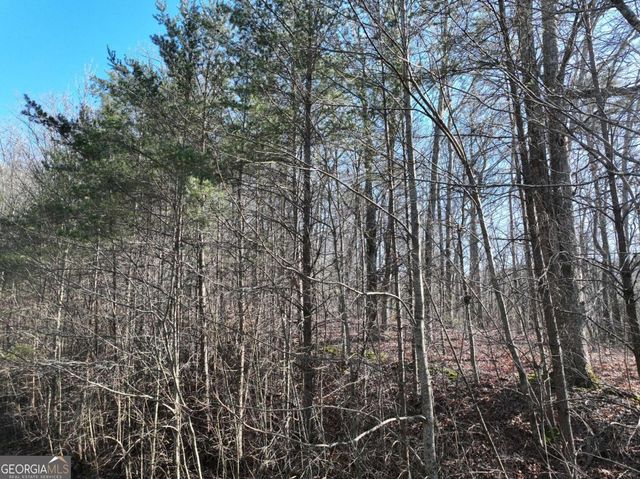 57 St Andrews Way, Ellijay, GA 30536