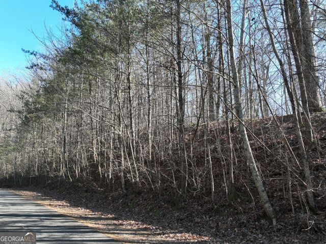57 St Andrews Way, Ellijay, GA 30536