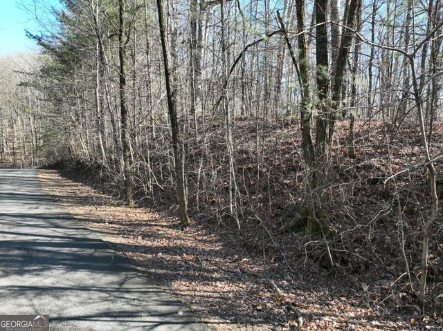 57 St Andrews Way, Ellijay, GA 30536