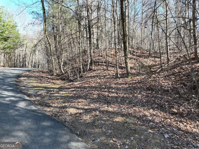57 St Andrews Way, Ellijay, GA 30536