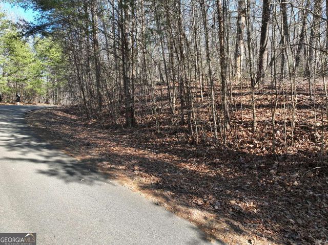 57 St Andrews Way, Ellijay, GA 30536