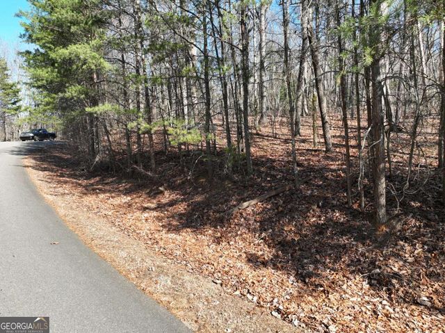 57 St Andrews Way, Ellijay, GA 30536