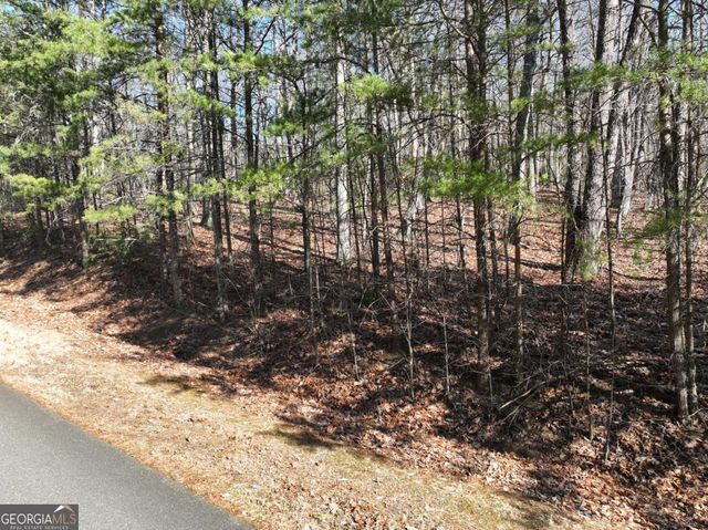 57 St Andrews Way, Ellijay, GA 30536