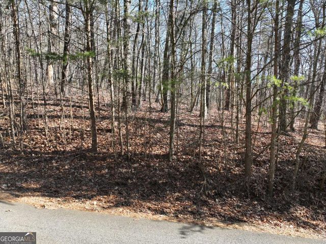 57 St Andrews Way, Ellijay, GA 30536