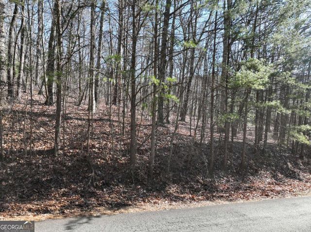 57 St Andrews Way, Ellijay, GA 30536