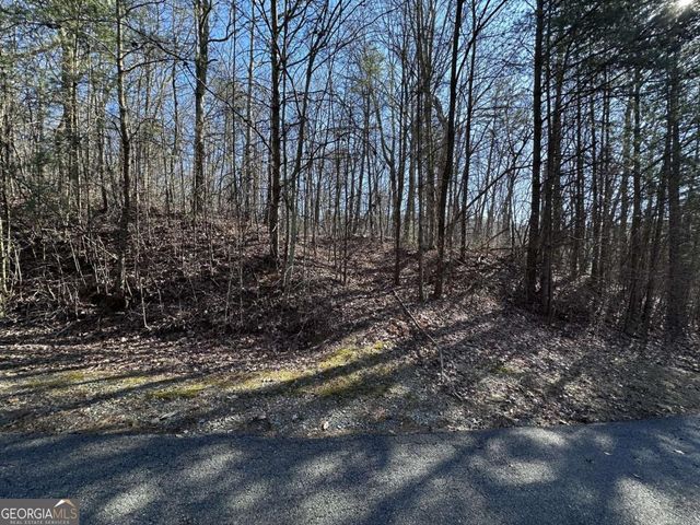 57 St Andrews Way, Ellijay, GA 30536