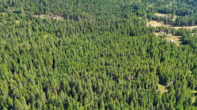592 Doe Meadows Rd, Newport, WA 99156