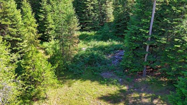 592 Doe Meadows Rd, Newport, WA 99156