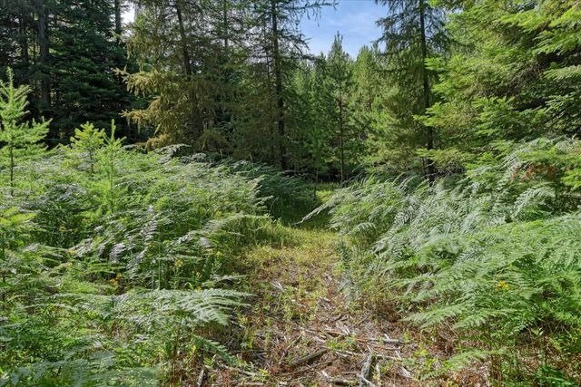 592 Doe Meadows Rd, Newport, WA 99156