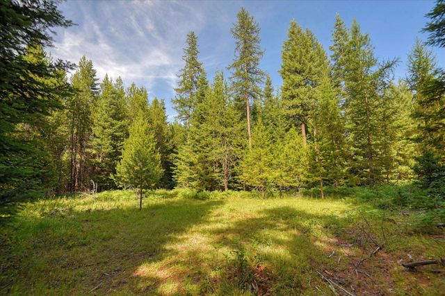 592 Doe Meadows Rd, Newport, WA 99156