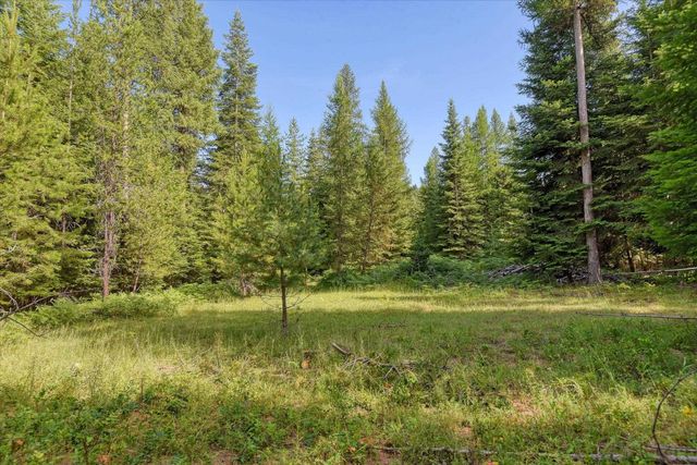 592 Doe Meadows Rd, Newport, WA 99156
