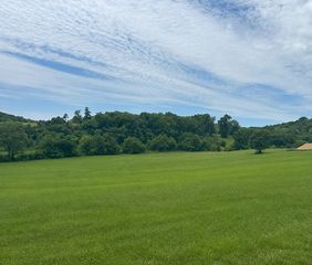 0 Johnny Bennett Rd, Thompsons Station, TN 37179