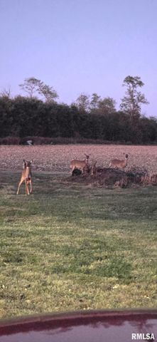 16853 N WRIGHT Road, Lewistown, IL 61542