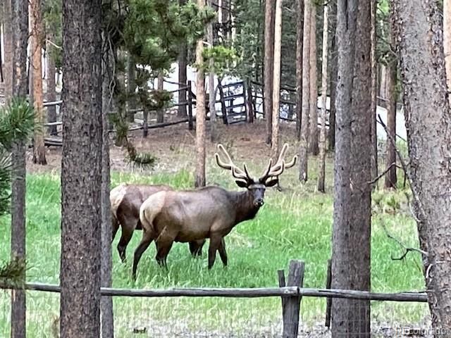 9264 Sandy Lane, Conifer, CO 80433