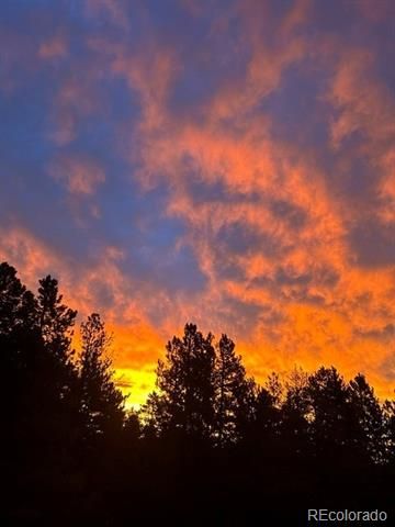 9264 Sandy Lane, Conifer, CO 80433