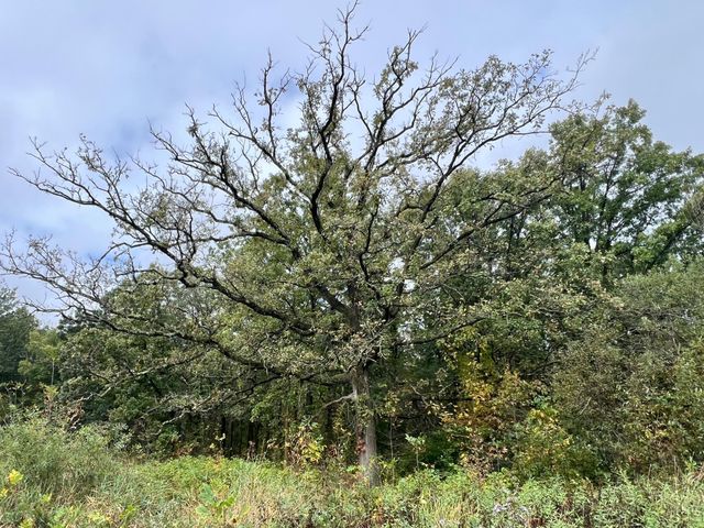 10038 County Road 8, Brainerd, MN 56401