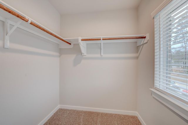 14257 Lake Lodge Drive, Conroe, TX 77384