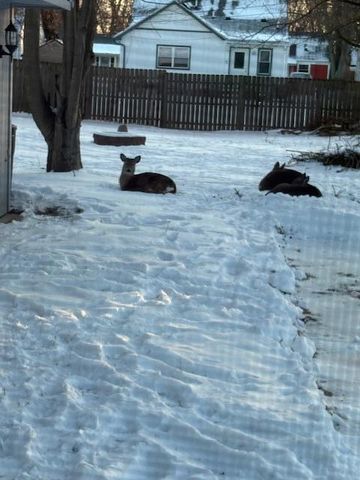 15100 Sunbury Street, Livonia, MI 48154