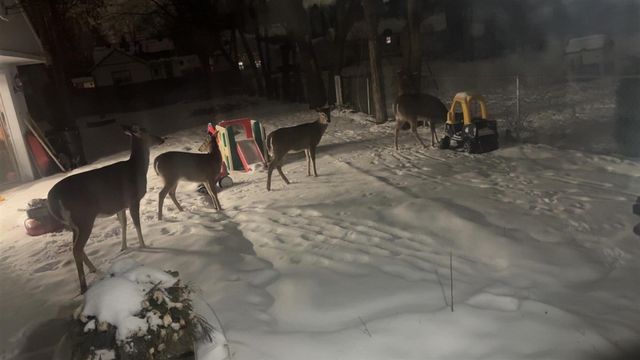 15100 Sunbury Street, Livonia, MI 48154