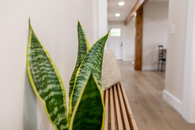 519 ARPIA ST, Lexington, VA 24450