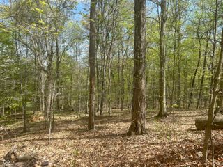 N Oxford Ct Oxford North Court, Martinsville, IN 46151