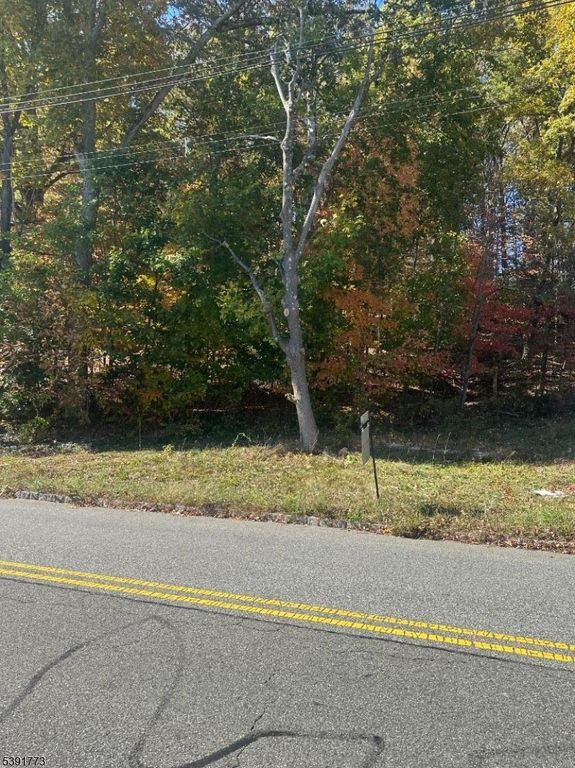 33 N Hillside Ave, Roxbury Twp., NJ 07876 — photo 2