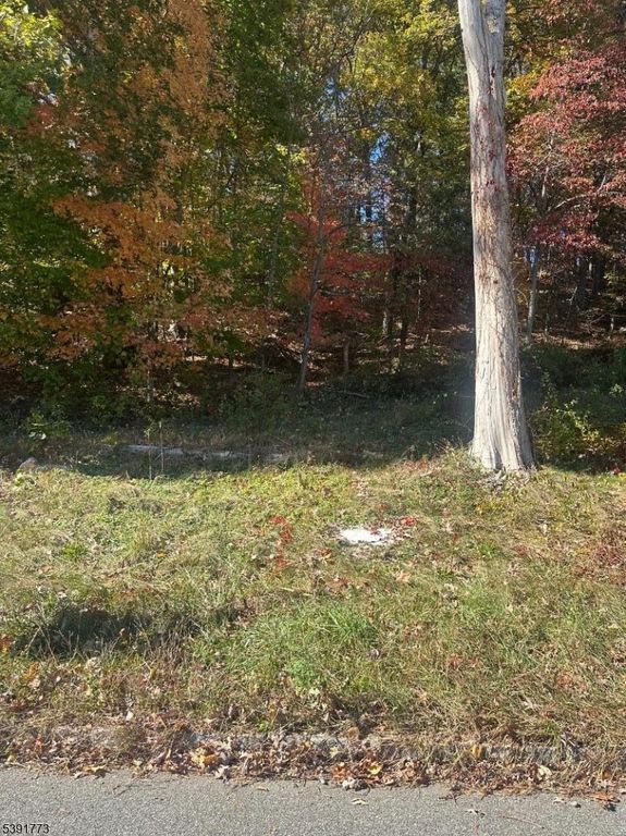 33 N Hillside Ave, Roxbury Twp., NJ 07876 — photo 4