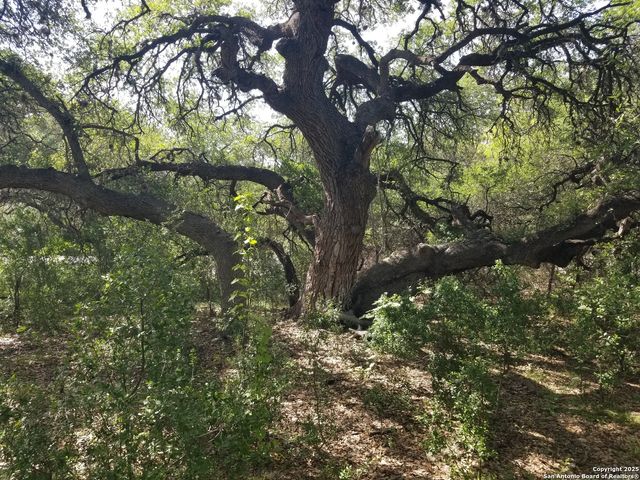 182 laurel ridge, Lakehills, TX 78063