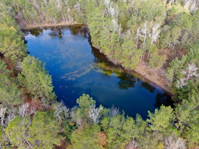 11260 Crockett Martin Road, Conroe, TX 77306