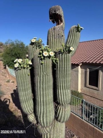 9526 E OBSIDIAN Court, Gold Canyon, AZ 85118