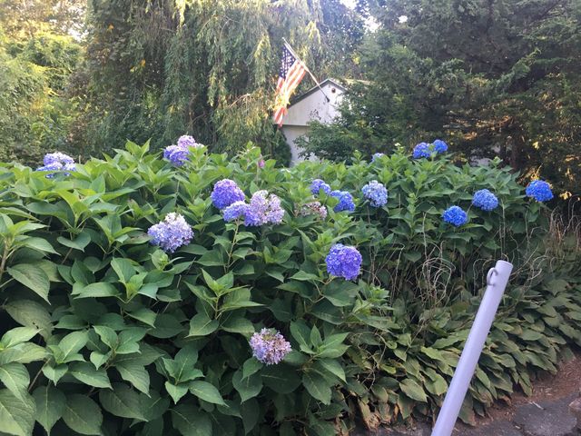 770 County Street, Attleboro, MA 02703