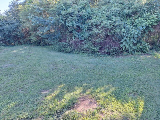 205 Harrill Street, Madisonville, TN 37354