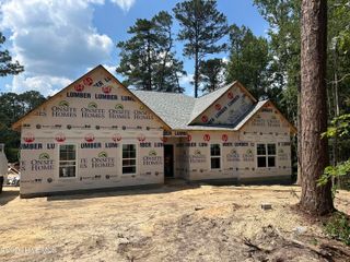 54 N Shamrock Drive, Jackson Springs, NC 27281