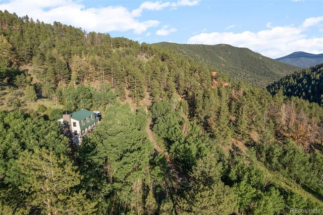 67 Thistle Trail, Idaho Springs, CO 80452