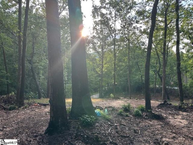 00 E Lakeshore Drive, Landrum, SC 29356