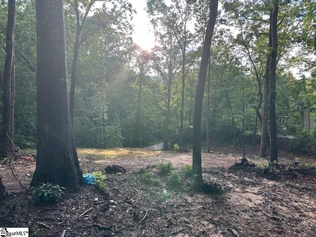 00 E Lakeshore Drive, Landrum, SC 29356