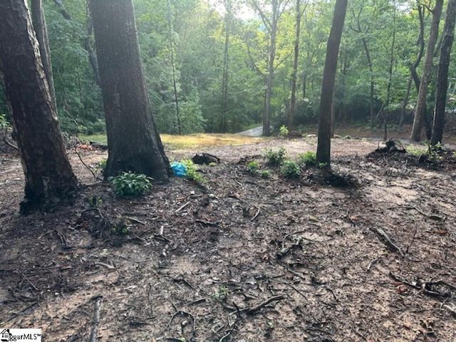 00 E Lakeshore Drive, Landrum, SC 29356