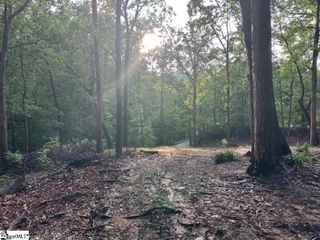 00 E Lakeshore Drive, Landrum, SC 29356