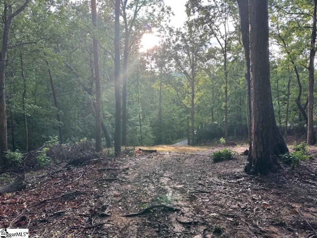 00 E Lakeshore Drive, Landrum, SC 29356