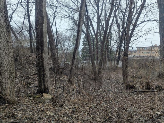 1145 Polk Place NE, Columbia Heights, MN 55421