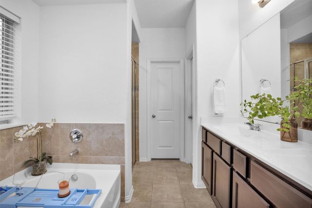 118 Emory Birch Drive, Montgomery, TX 77316