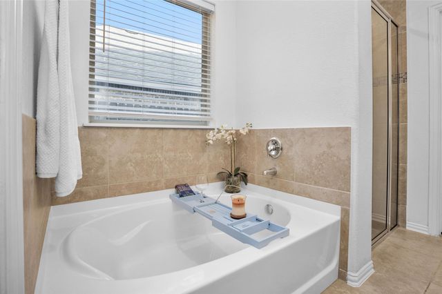 118 Emory Birch Drive, Montgomery, TX 77316