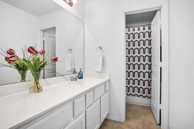 118 Emory Birch Drive, Montgomery, TX 77316