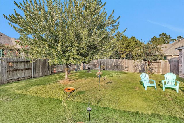 118 Emory Birch Drive, Montgomery, TX 77316